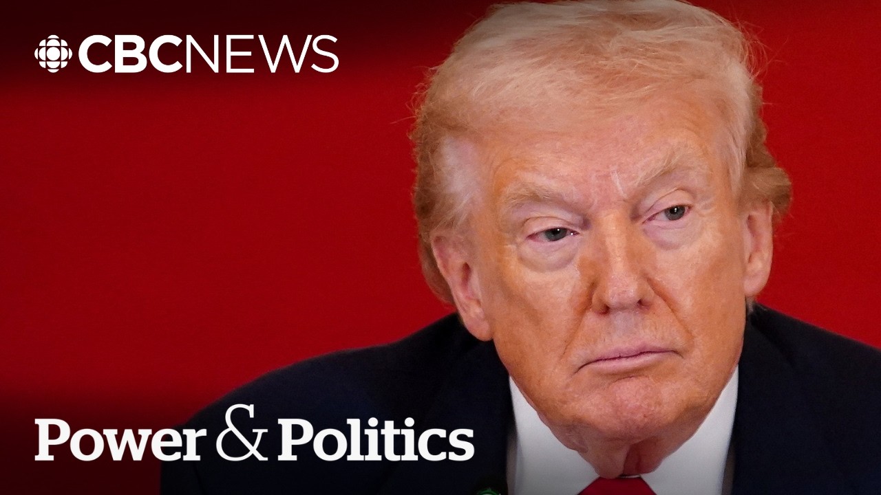 24 states suing Trump over 'unlawful' global tariffs: Oregon attorney general | Power & Politics
