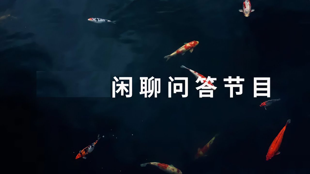 【闲聊节目】关于部分网友的留言问题🐬🐬子非鱼，安知鱼之乐！