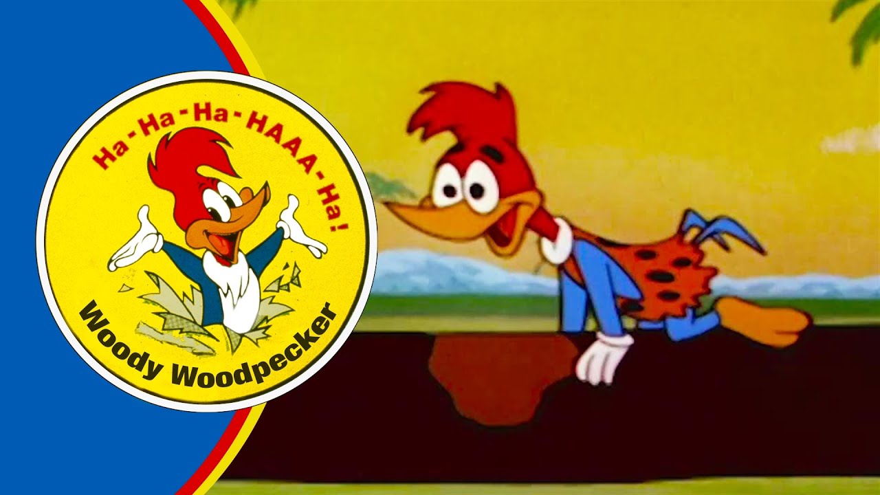 History of the Woodpeckers!  | Woody Woodpecker