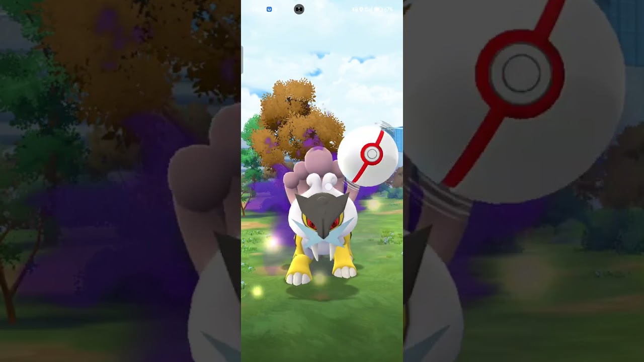 Eternatus Vs Shadow Raikou 