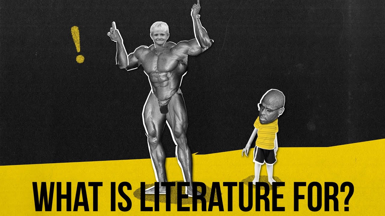 Do czego służy literatura?