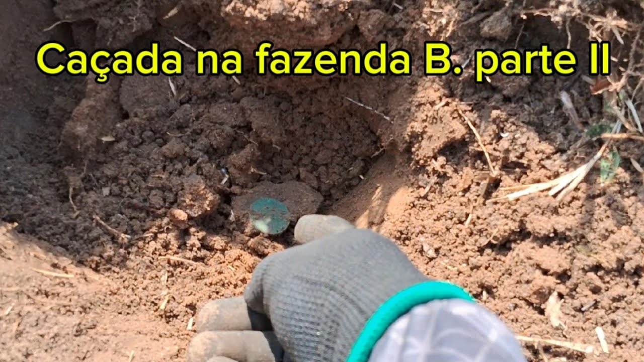 Caçada na fazenda B. Parte II