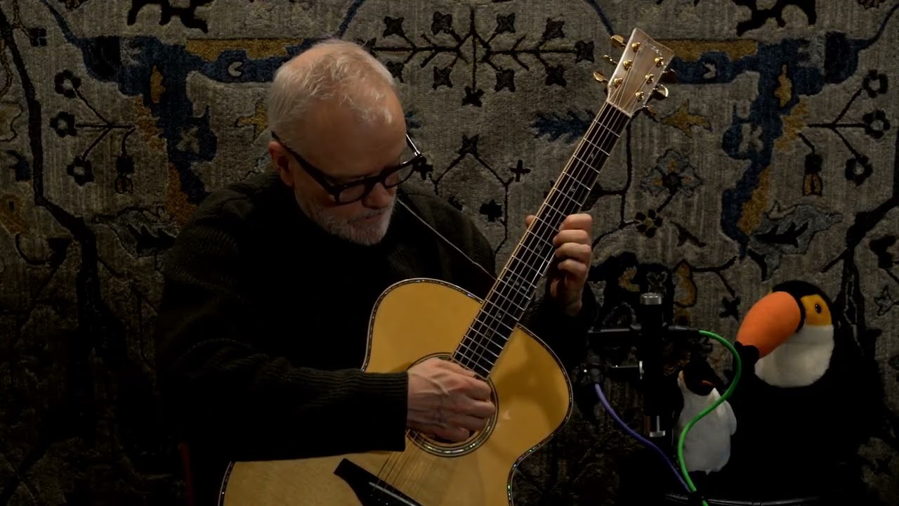 Guitar improvisation aafsb 020326 with toucan and puffin