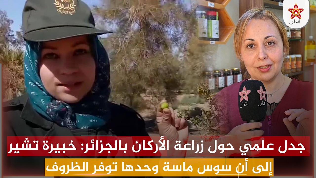 جدل علمي حول زراعة الأركان بالجزائر: خبيرة تشير إلى أن سوس ماسة وحدها توفر الظروف الطبيعية المثلى