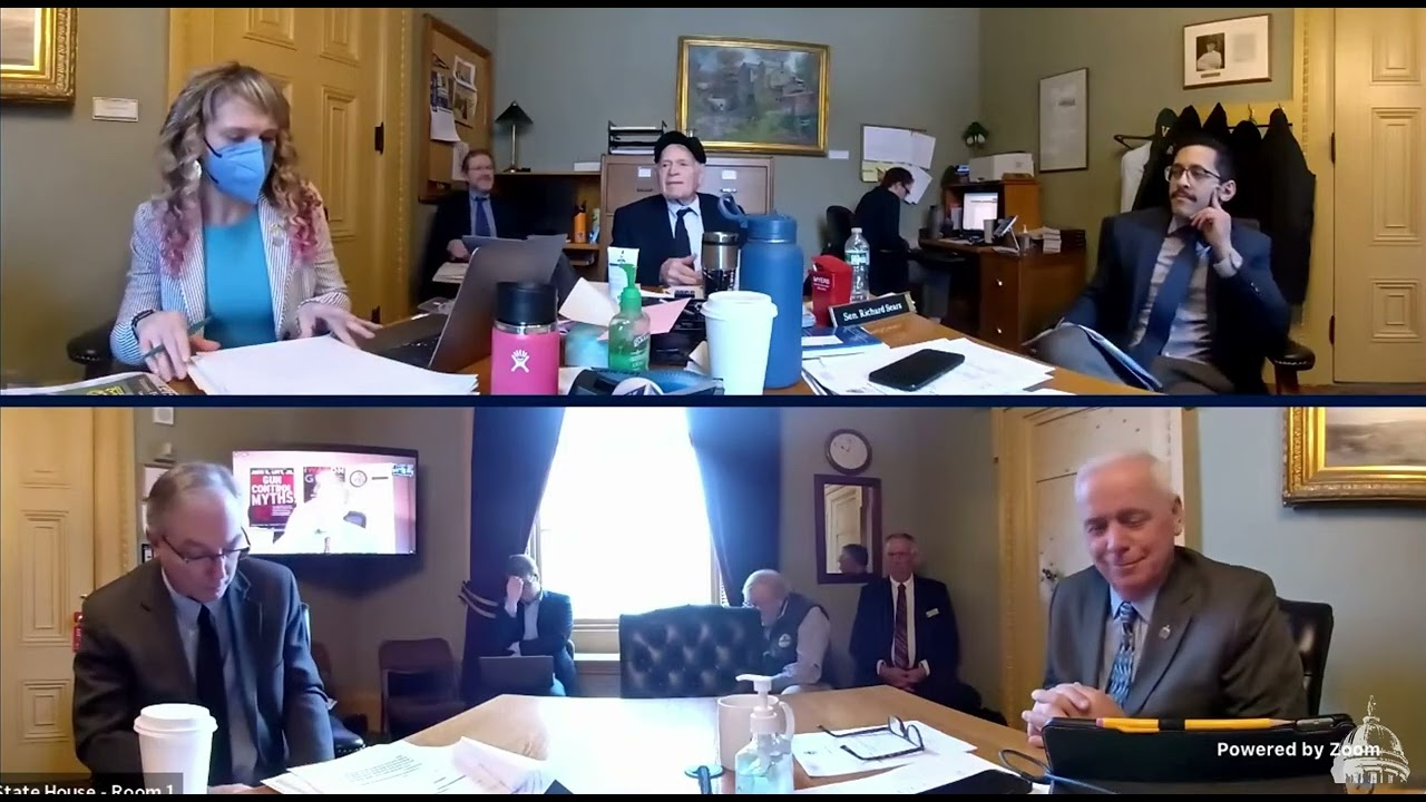 John Lott's Testimony before the Vermont State Senate on banning 