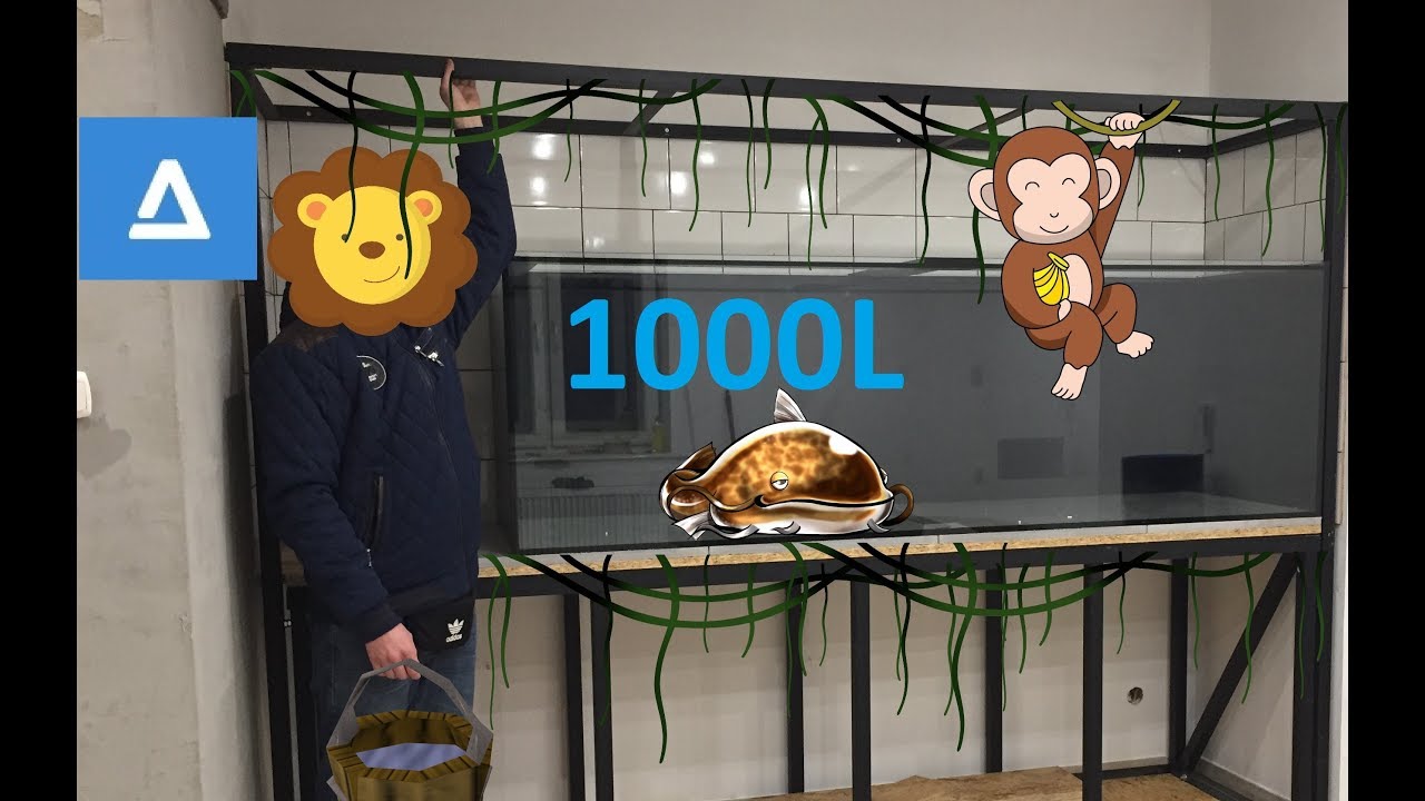 Akwarium 1000L - kolejny etap prac #19