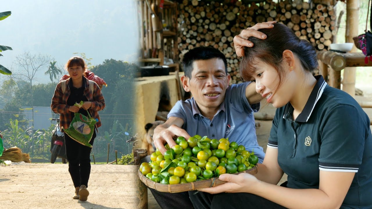 Harvest kumquats and cabbage, go to the market to sell, cook, live a peaceful life