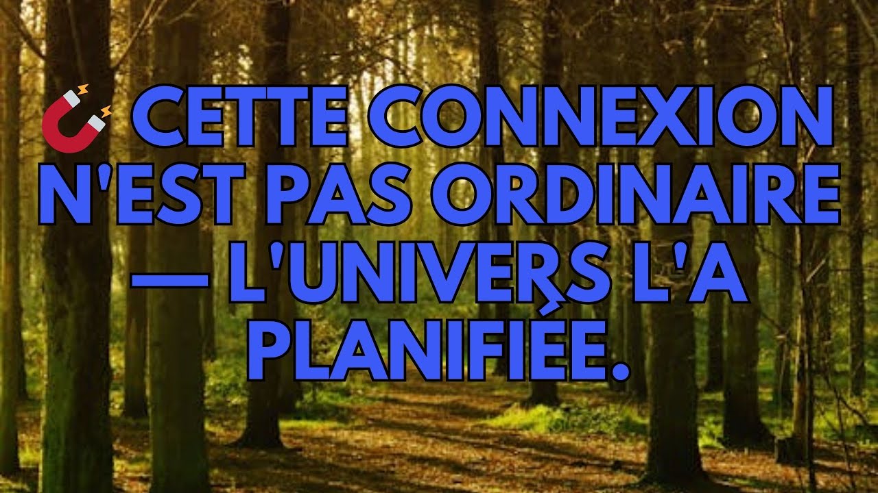🧲 Cette connexion n'est pas ordinaire — l'Univers l'a planifiée.