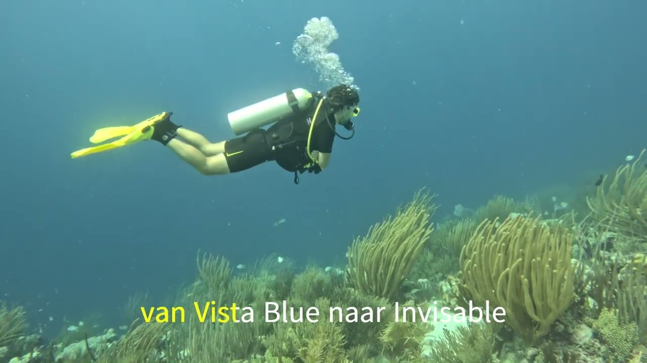 Duikvakantie 2026 Bonaire