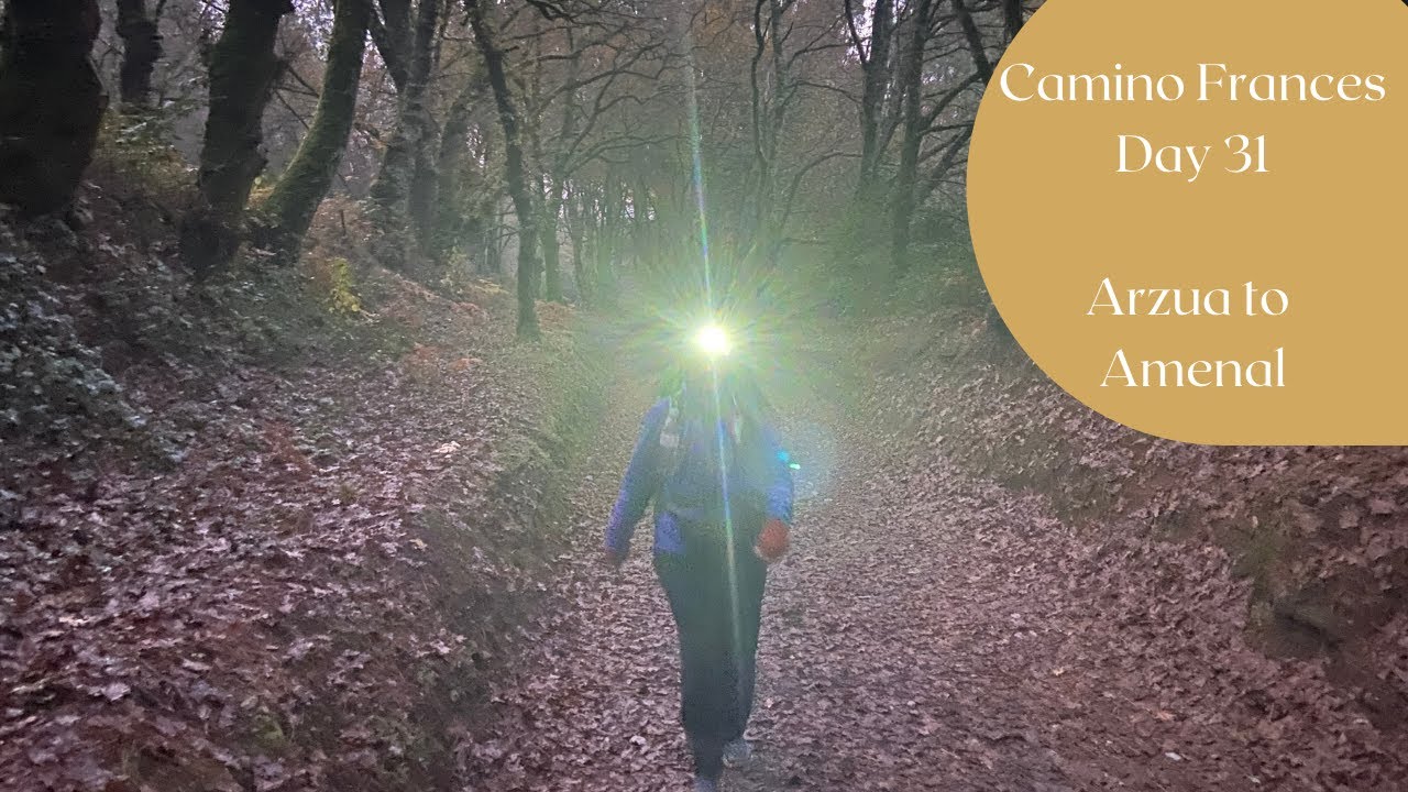 Camino Frances Day 31  Arzua to Amenal