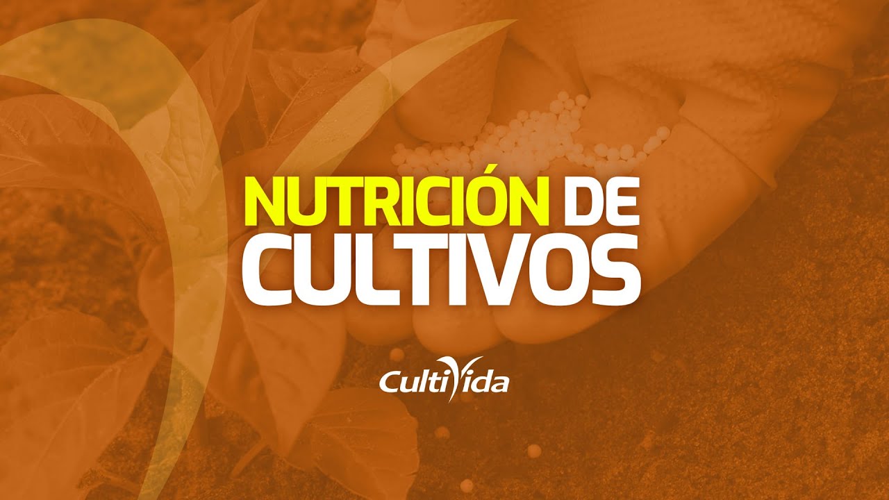 🌳NUTRICIÓN🌳 DE CULTIVOS [FISIOLOGIA]