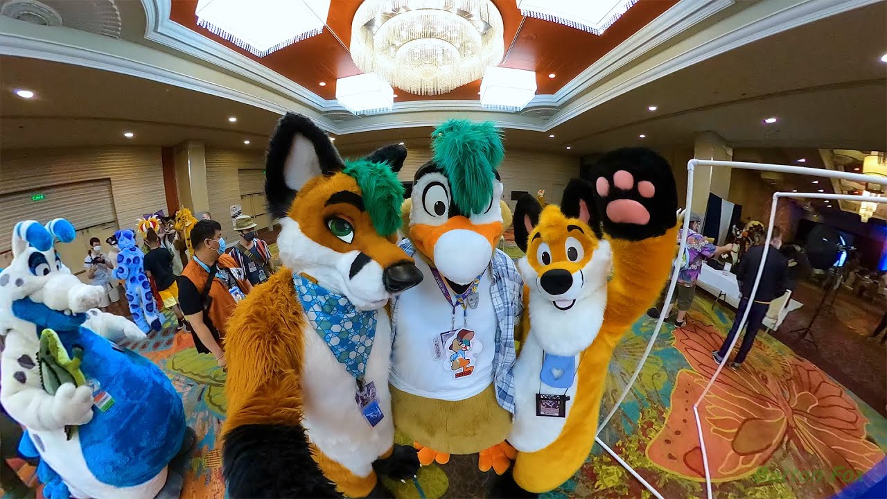 Biggest Little Fur Con 2022 (BLFC 2022) - Random Clips
