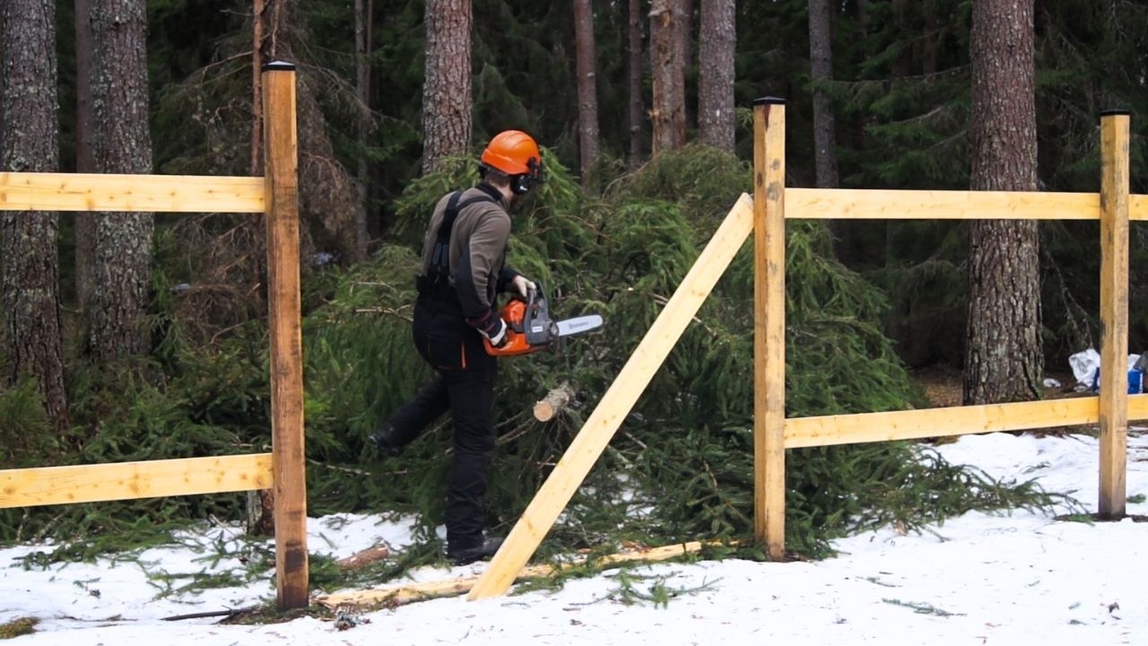 Things Not Going Our Way | Off Grid Garden Restoration