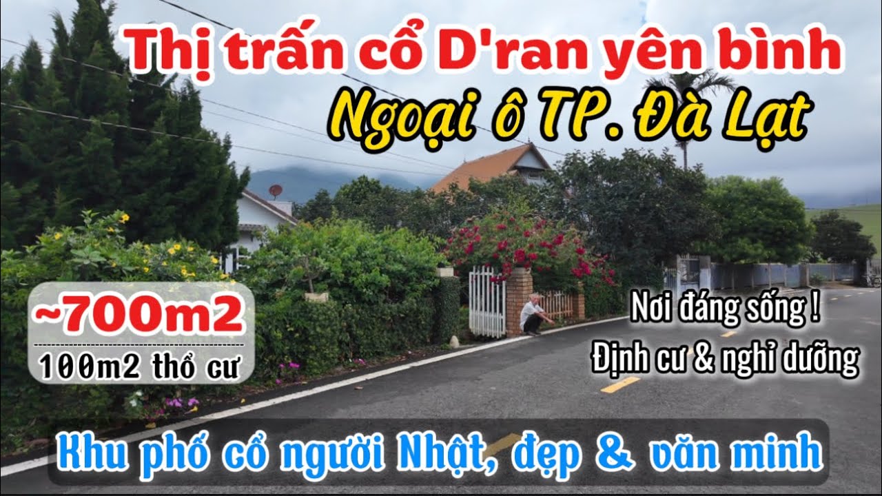 🏡Thị trấn cổ D'ran yên bình ngoại ô Đà Lạt, sinh sống trong khu phố cổ người Nhật đẹp & văn minh