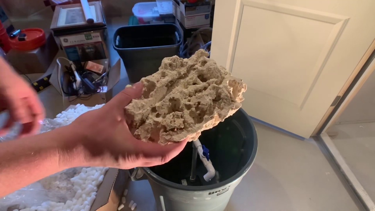 КАК ВЫСУШИТЬ ЖИВОЙ СКАЛ