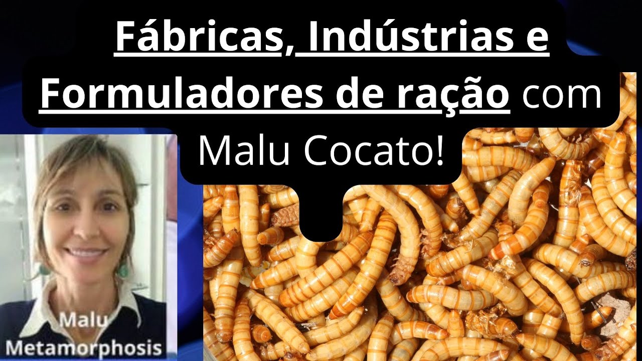 Fábricas, Indústrias e Formuladores de ração com Malu Cocato !