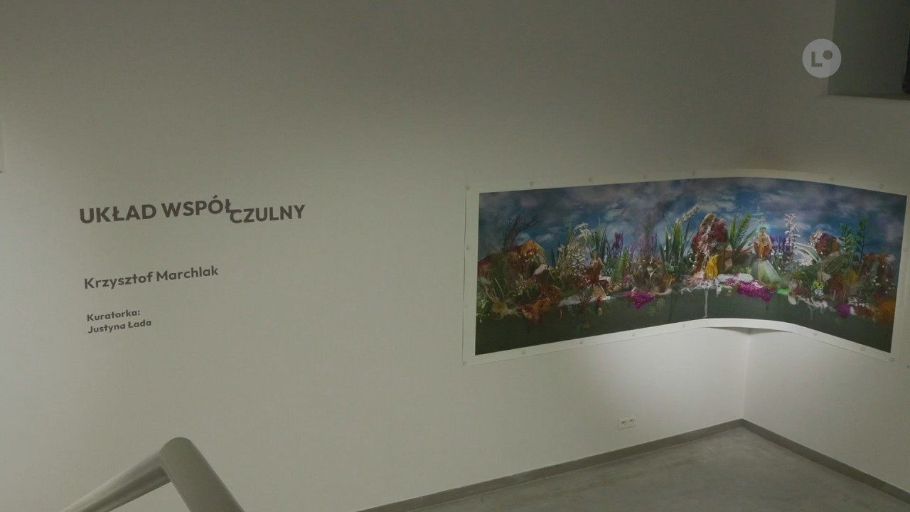 Let&rsquo;s talk about art: guided tours and workshops in English | LOKALNA.TV