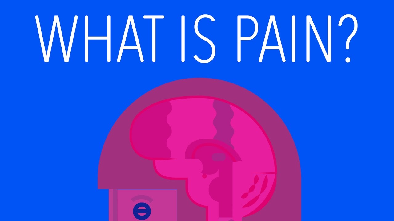 What is Pain? - The Science of Nociception