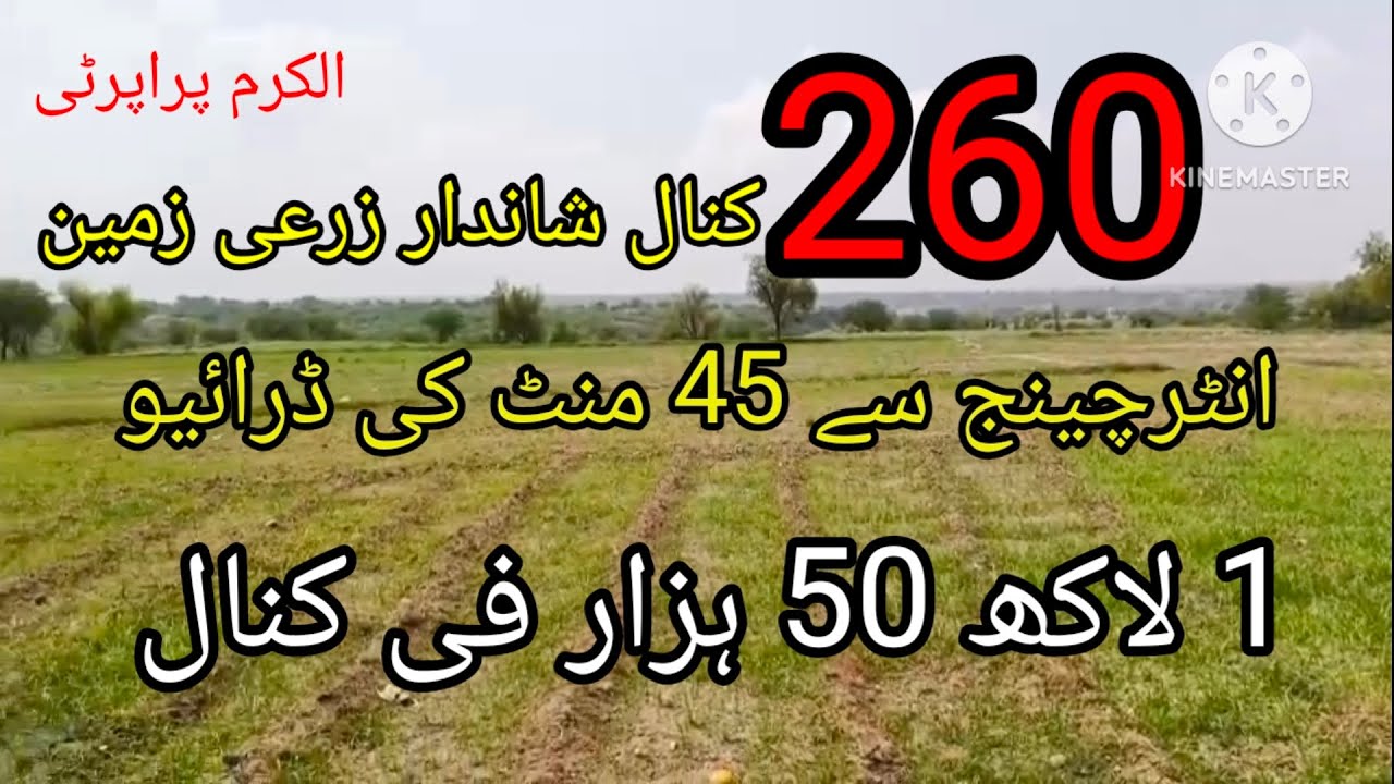 260 کنال شاندار مکمل آباد زرعی زمین ضلع تلہ گنگ چکوال الکرم پراپرٹی چکوال 