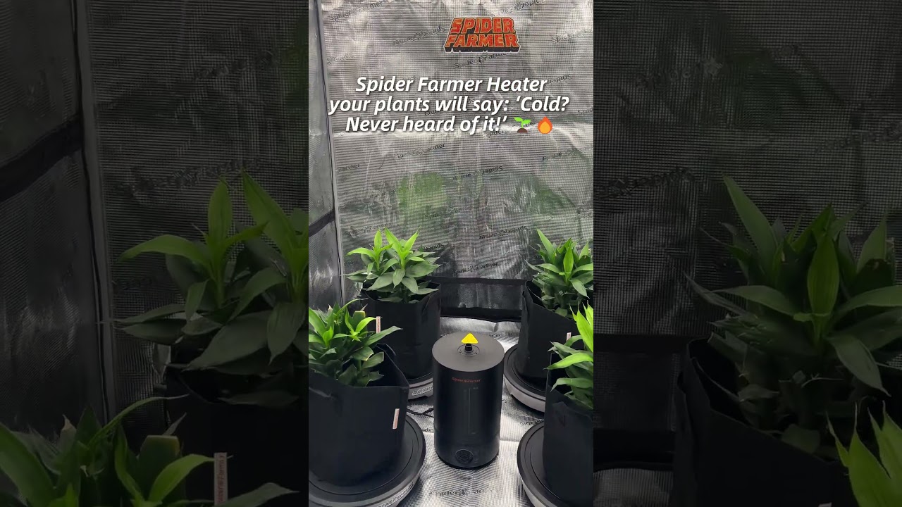 🔥 New Spider Farmer Heater &ndash; Smart, Safe, & Efficient! 🌿🌡️#spiderfarmer #heater