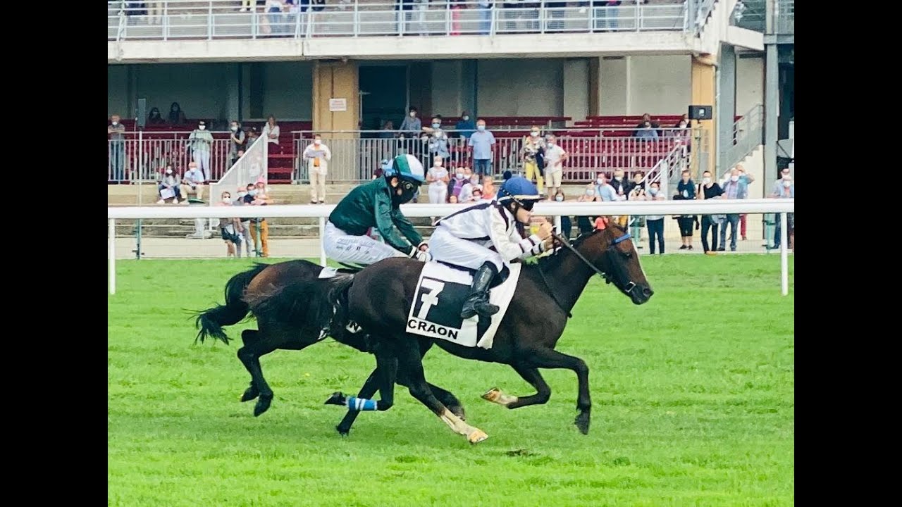 poney B haies Craon 2020