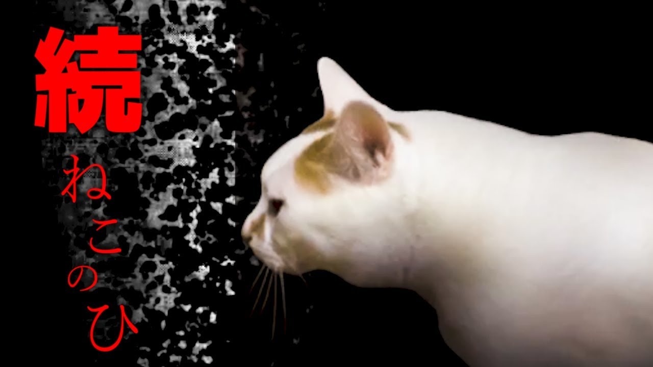 続・ねこのひ には全く怖くない隠しルートがあった！もはや別ゲーwww（ホラーゲーム）つぐのひ