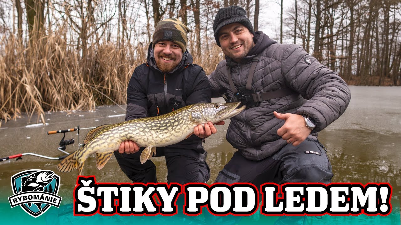 Jak chytat štiky pod ledem?? RYBOMÁNIE na rybách #12 s @mvfishing
