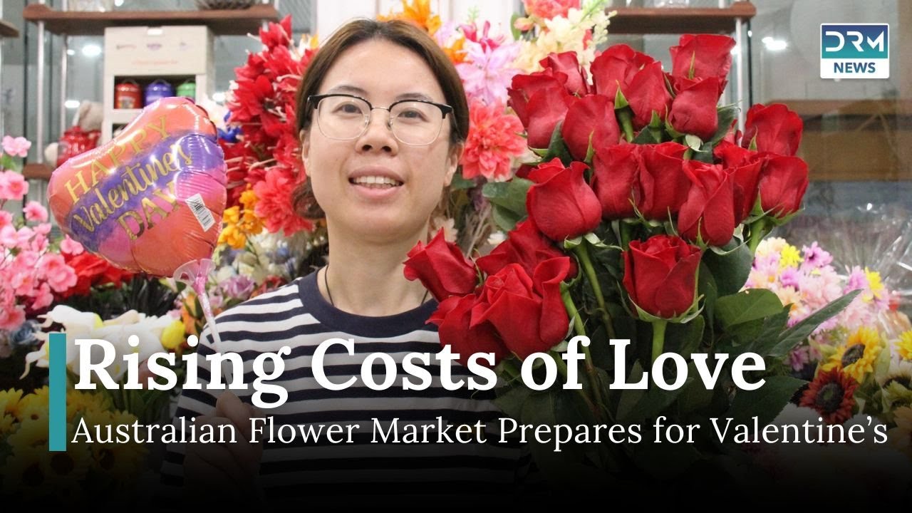 Valentine&rsquo;s Day Bloom: 65,000 Roses Ready for Sydney&rsquo;s Biggest Day | DRM News | AQ1B