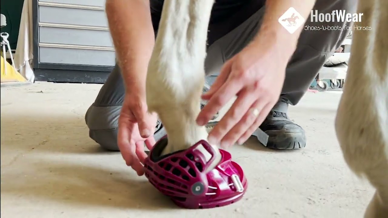 Renegade Classic Hoof boot passen