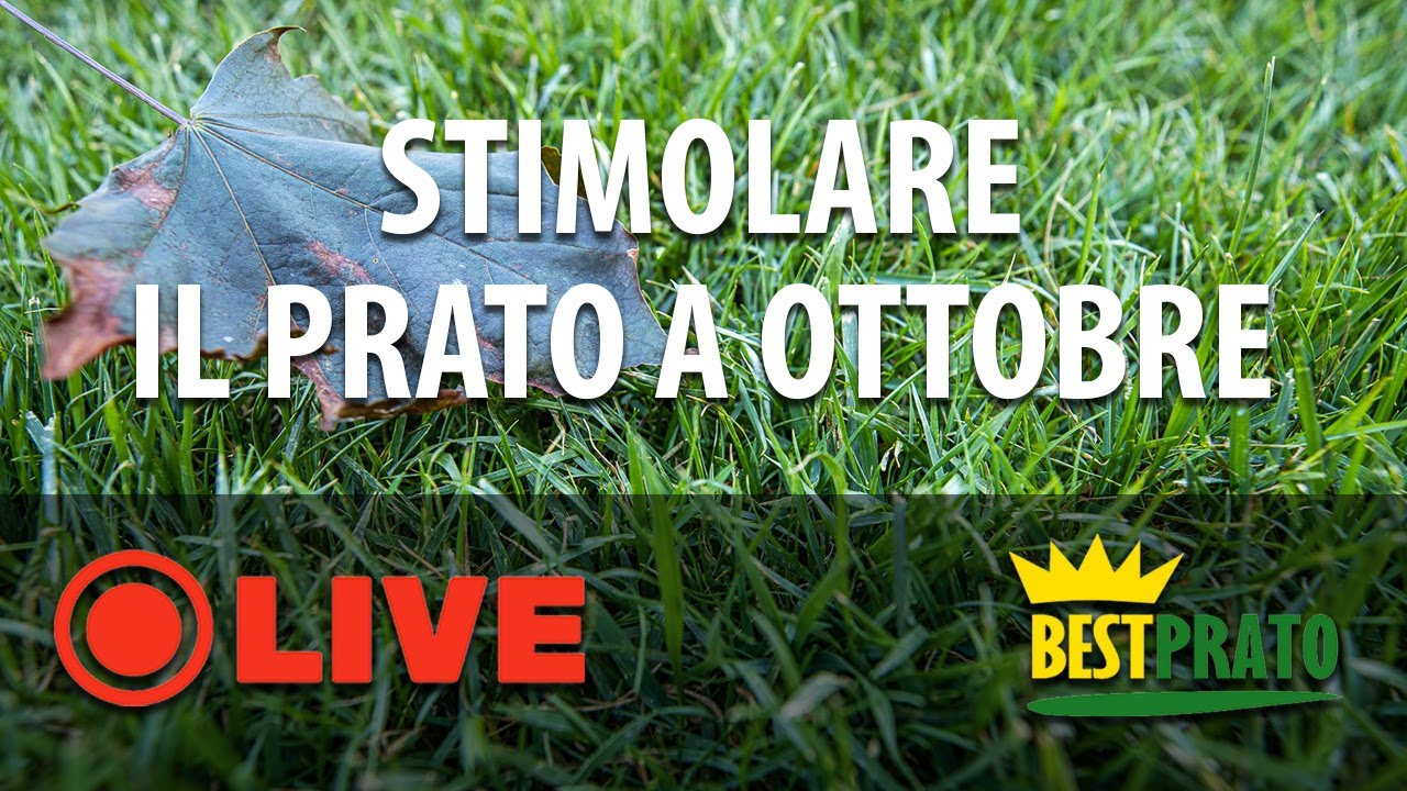 STIMOLARE IL PRATO A OTTOBRE. LA STRATEGIA DEL METODO BESTPRATO..