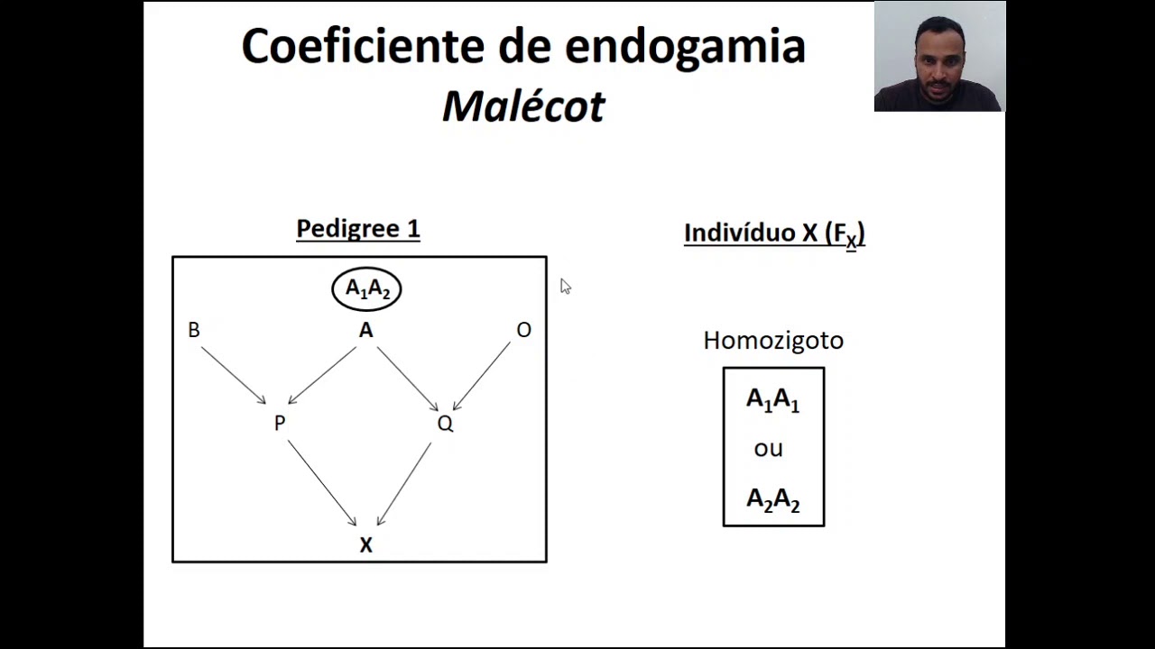 Capítulo 6: Endogamia e parentesco (Parte 1)