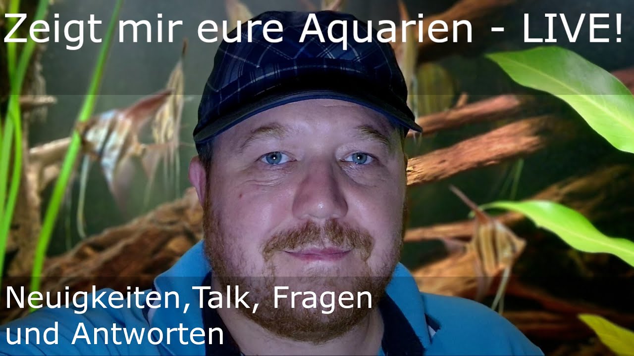 Zeigt mir eure Aquarien – Live dabei im interaktiven Livestream!