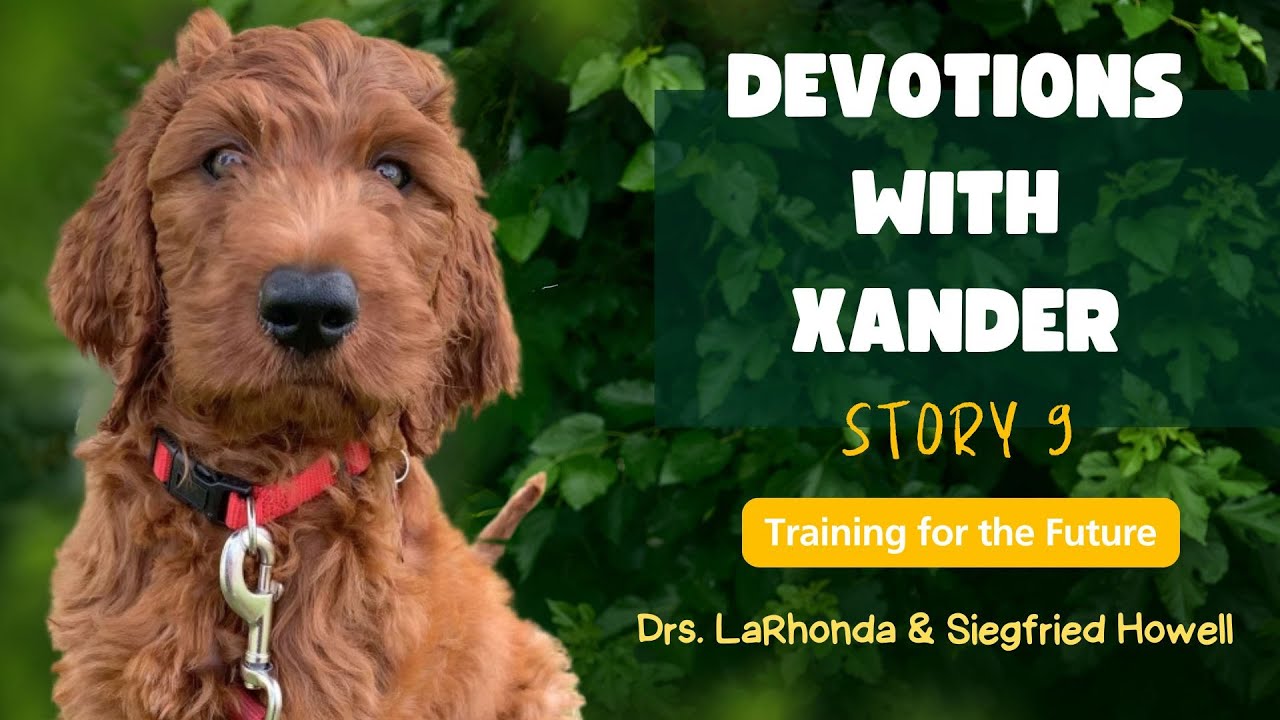 Training for the future Pet Story 9