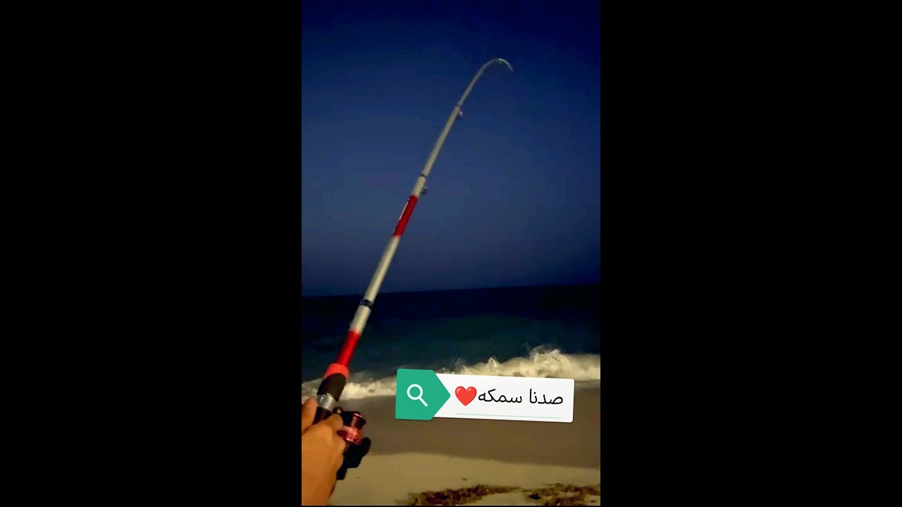 تعلم صيد السمك بالسنارة للمبتدئين 3 (صدنا سمكه وطبخناها)