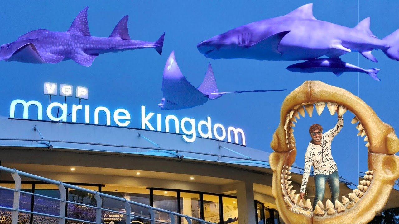 VGP Marine Kingdom 🐬| Best Place To Visit | MERMAID SHOW | சுறா 🦈 வ நேர்ல பார்த்துட்டேன்