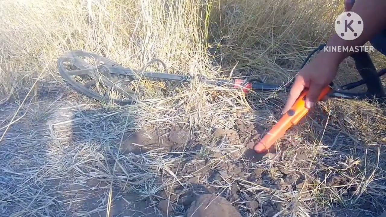 3 DIAS DE BUSQUEDA 