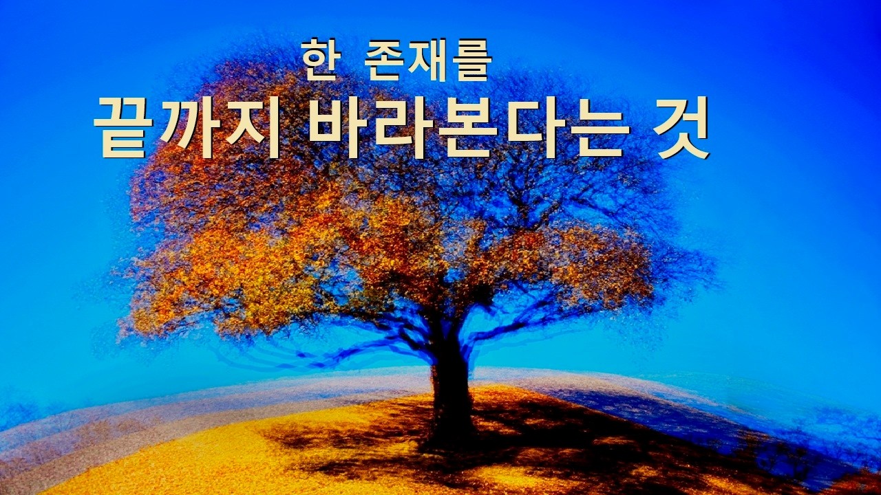 한 그루의 나무를 오래 바라보면 생기는 (What Happens When You Look at One Tree for a Long Time)