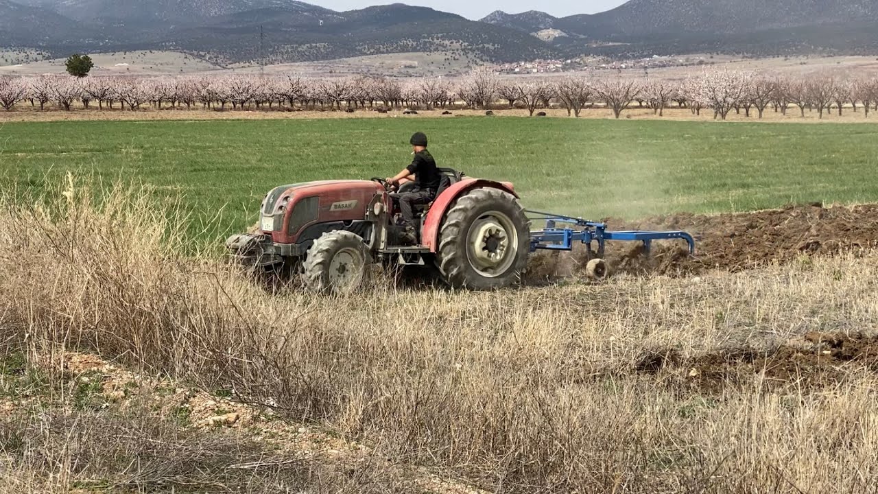 BAHÇE TRAKTÖRÜ BAŞAK 2080 BB