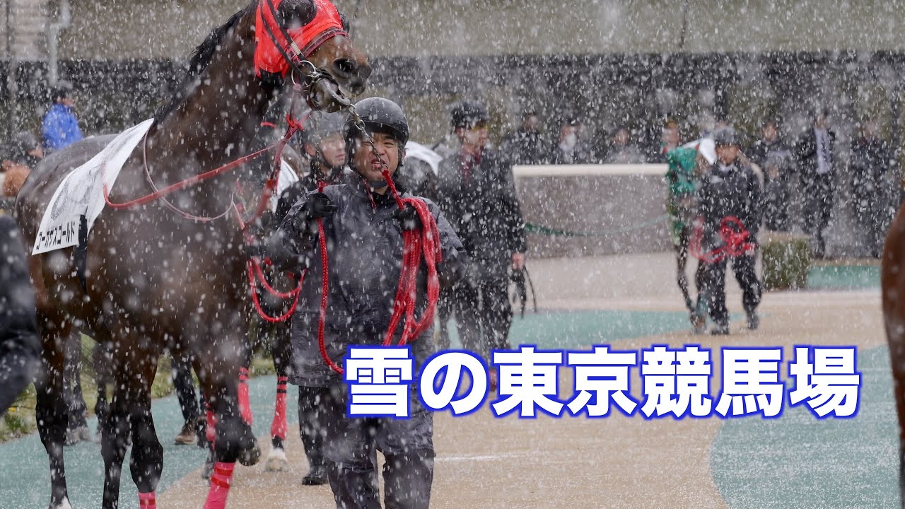 016_雪の東京競馬場