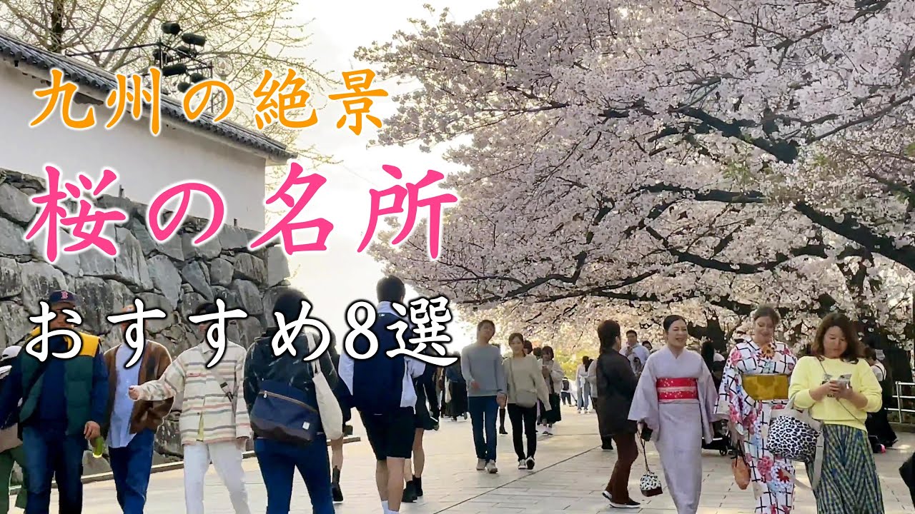 【九州の絶景】🌸「桜の名所」今年も見たい桜の絶景