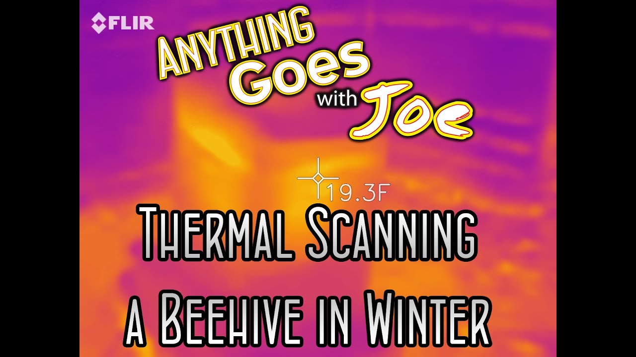 Thermal Imaging a Beehive in Winter