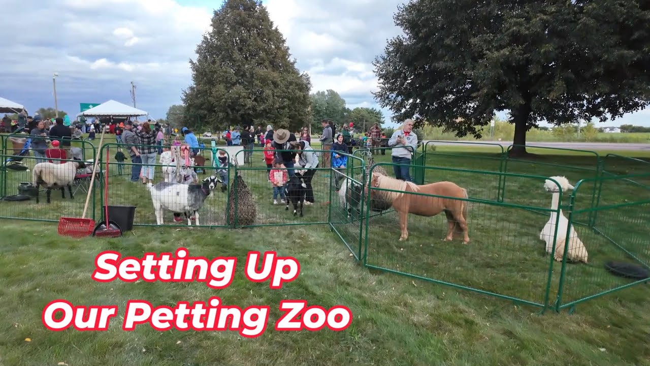 How We Set Up Our Mobile Petting Zoo