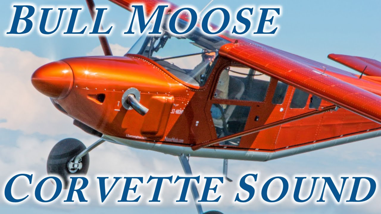 The Bull Moose With Corvette Sound
