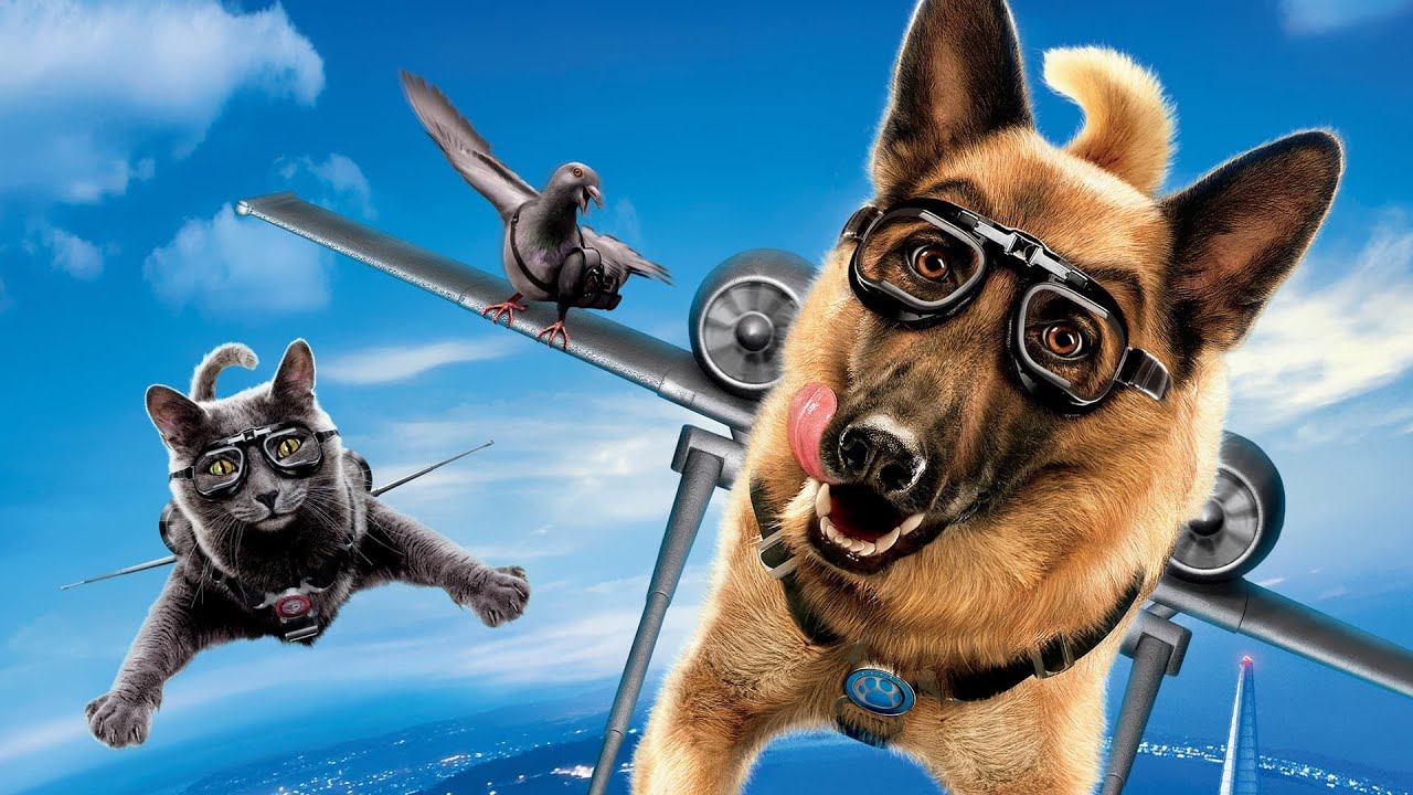 Cats & Dogs (Why can't we be friends)