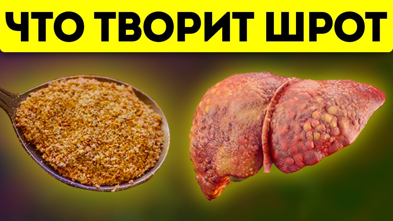 Как 1 ч.л. шрота изменяет состояние организма! Какое влияние шрот оказывает на печень