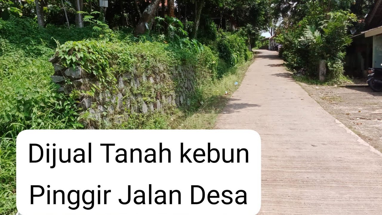 Dijual tanah kebun pinggir jalan desa. Info hub . 087809965332 / Yudi.