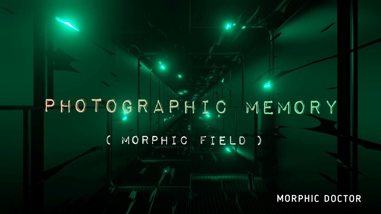 Photographic memory (morphic field)