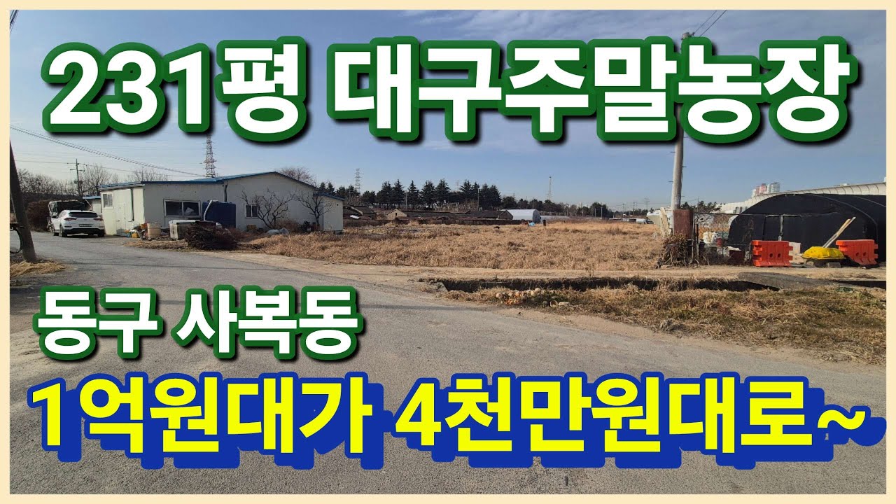 대구 동구 사복동 1억원대가 4천만원대로 법원경매로 취득 나의 자그마한 텃밭으로 안성맞춤 231평 보러오세요