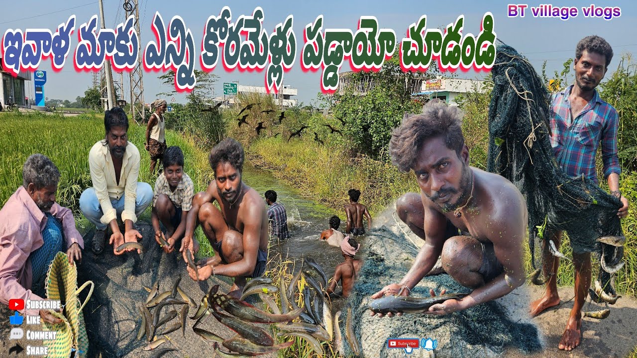 ఇవాళ మాకు ఎన్ని కొరమేళ్లు పడ్డాయో చుడండి#fishing #koramenu #cookingvideos #fishgrill #penumudi #crab