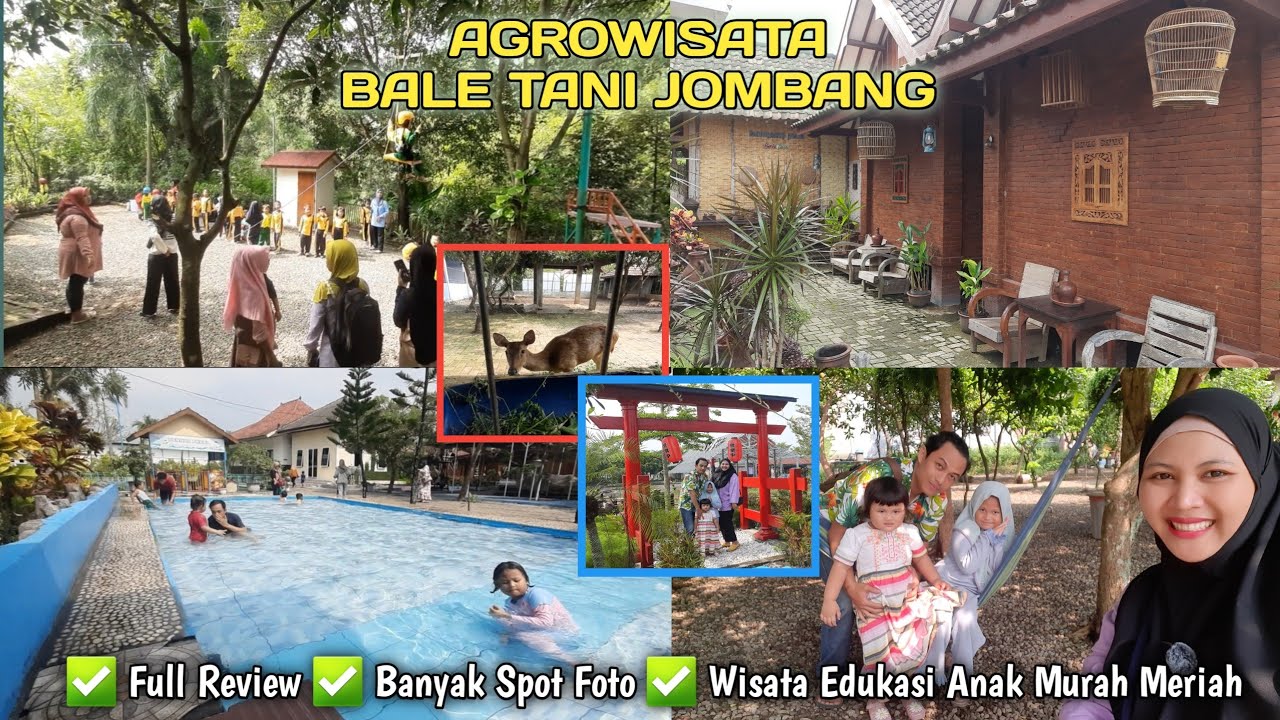 AGROWISATA BALE TANI JOMBANG | bale tani jombang